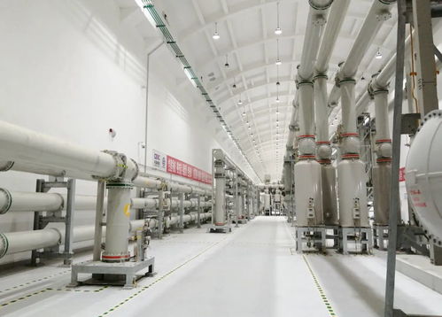 屢屢突破，走向世界——?？藗愃闺姎獾娜蛘鞒? />
</a>
<span><a href=